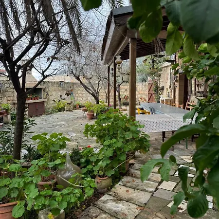 Paradise House In *
